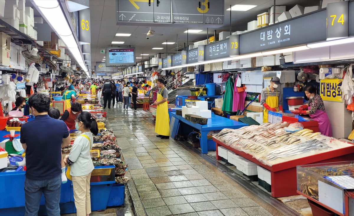 Inside Jagalchi Market · reference photo
